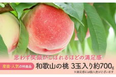 【産直・人気の特産品】和歌山の桃 3玉入り 約700g  ★2025年6月下旬から8月中旬頃順次発送★【TM93】