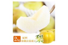 梨 約2kg 化粧箱入 紀州和歌山 かつらぎ産【2025年8月下旬以降発送予定】【UT103】
