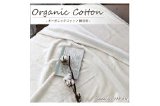 【シングル】オーガニックコットン綿毛布 140×200cm IV OGMM-1-IV