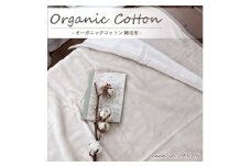 【シングル】オーガニックコットン綿毛布 140×200cm BE OGMM-1-BE