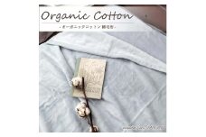 【シングル】オーガニックコットン綿毛布 140×200cm GY OGMM-1-GY