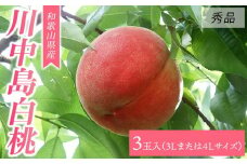 【大玉限定】和歌山県産 川中島白桃 《秀品》 3玉入り（3Lまたは4Lサイズ）【7月下旬より発送】【MG28】