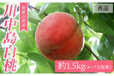 和歌山県産 川中島白桃《秀品》 約1.5kg（4～7玉程度）【7月下旬より発送】【MG31】