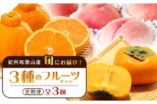 紀州和歌山産 旬にお届け！3種のフルーツセット（不知火・桃・ひらたね）【UT58】