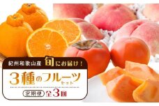 紀州和歌山産 旬にお届け！フルーツセット（不知火・桃・富有柿）【UT59】