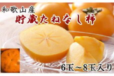 和歌山産貯蔵たねなし柿化粧箱入り（6玉～8玉入り）★2025年12月中旬頃より順次発送［TM124］