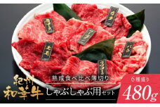 紀州和華牛 熟成 食べ比べ しゃぶしゃぶ用 セット 6種盛り 480g