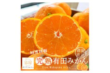 農家直送 完熟 有田みかん 約10kg［先行予約 2025年12月発送 ］［MS13-2］