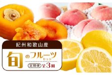 【1・3・7月 全3回】紀州和歌山産旬のフルーツセット（あんぽ柿・レモン・桃） 定期便 【魚鶴商店】【UT65】