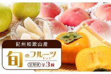 【7・8・10月 全3回】紀州和歌山産旬のフルーツセット（桃・梨・ひらたねなし柿）定期便 【魚鶴商店】【UT68】