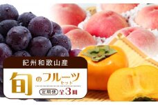 【7・8・10月 全3回】紀州和歌山産旬のフルーツセット（桃・ピオーネ・ひらたねなし柿）定期便 【魚鶴商店】【UT67】