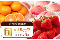 【2・7・12月 全3回】紀州和歌山産旬のフルーツセット（いちご・桃・有田みかん）定期便 【魚鶴商店】【UT70】
