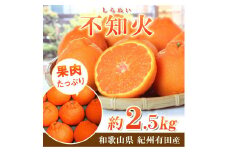 紀州有田産不知火(しらぬひ) 約２.５kg［2026年2月中旬以降発送］［先行予約］［UT61］