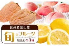 【1・3・7月 全3回】紀州和歌山産旬のフルーツセット（干柿・レモン・桃） 定期便 【魚鶴商店】【UT71】