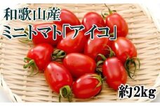 ［2025年12月出荷分］和歌山産ミニトマト「アイコトマト」約2kg（S・Mサイズおまかせ）［TM158］