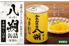 和歌山県産 八朔 缶詰（ 身割れ ）425g × 12缶 セット【入金確定後より7営業日以内に発送予定】【KF7】