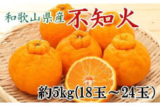 和歌山県産不知火約5kg（18玉～24玉おまかせ）L～3Lサイズ★2026年2月下旬頃より順次発送［TM159］