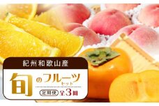 【7・8・10月 全3回】紀州和歌山産旬のフルーツセット（バレンシア・桃・ひらたねなし柿）【UT79】