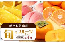 【7・8・10・12月 全4回】紀州和歌山産旬のフルーツセット（バレンシア・桃・ひらたねなし柿・みかん）【UT80】