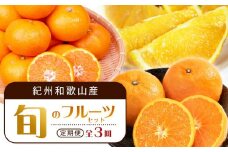 【1・4・7月 全3回】紀州和歌山産旬のフルーツセット（みかん・なつみ・バレンシア）【UT82】