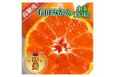 有田みかん 特秀品小玉S～M 約5kg 高糖度 ［2025年10月から12月下旬頃順次発送］