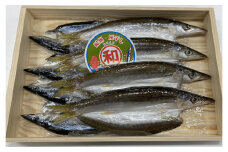 紀州伝統の灰干し製法で仕上げた 灰干しカマスと灰干しさんま 各4尾 の セット