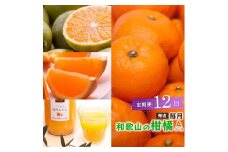 ［ 毎月発送 全12回 ］ 柑橘定期便A［IKE9］