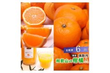 ［偶数月 全6回 ］ 柑橘定期便A［IKE13］