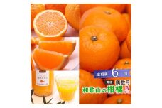 ［偶数月 全6回 ］ 柑橘定期便B［IKE14］