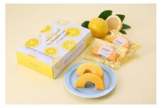 和歌山みかんはちみつとレモンのレモネードバウム1箱（5個入）【CO1】