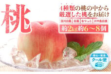 桃 極上秀品 約2kg 6～8個入［先行予約］［2026年6月下旬頃から順次発送］こだわり農家厳選［KG2］