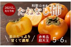 柿 種無し 赤秀品 超大玉 1.8kg 5～6個 【先行予約】【2025年9月下旬頃から発送】【KG4】