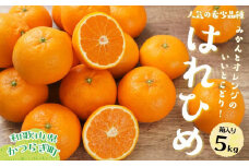 はれひめ（ミカンの希少種） 秀品  約5ｋｇ（25個～30個入）［先行予約］［2025年12月中旬頃から発送］［KG3］