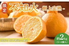 ［限定］不知火 樹上完熟 約2kg （5～6個入）［2026年2月下旬頃から3月下旬頃発送］［KG6］