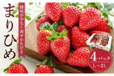 まりひめイチゴ L～２L 12粒～15粒×4パック［2026年1月中旬から発送］［先行販売］［KG8］