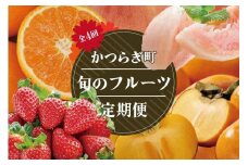 【定期便4回】フルーツ王国かつらぎ町よりお届け！旬のフルーツ定期便【KG11】