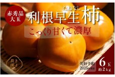 柿(種無し) 6個入 (約2kg)  秀品大玉【2025年9月下旬頃より発送】【KT1】