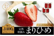 特大まりひめイチゴ 朝摘 6個～11個入×4パック［2026年1月中旬頃より発送］［先行予約］［KT4］