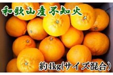 和歌山県産不知火約4kg（サイズ混合）★2026年2月下旬頃より順次発送［TM130］