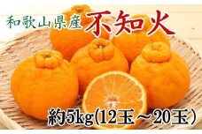和歌山県産不知火約5kg（12玉～20玉おまかせ）2L～5Lサイズ★2026年2月下旬頃より順次発送［TM131］