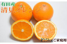 ［濃厚］有田産清見オレンジ約5kg（サイズおまかせ・ご家庭用）★2026年2月下旬頃より順次発送［TM151］
