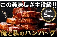 食卓応援 企画 俺と私の「 ハンバーグ 」お試し5個入り 140g×5個
