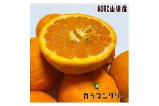 有田育ちの 完熟 カラマンダリン (ご家庭用) 約3.5kg 【先行予約・2025年4月より発送】【農園直送】【MS74】