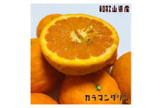 有田育ちの 完熟 カラマンダリン (ご家庭用) 約6kg 【先行予約・2025年4月より発送】【農園直送】【MS75】
