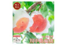 先行予約！【モモ】川中島白桃　約2kg 6～8個入【2025年7月末頃から順次発送】【秀品】こだわり農家厳選 【KG13】