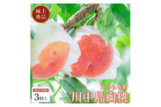 【秀品】川中島白桃 食べきりやすい3個入り 【2025年7月末頃から順次発送】こだわり 農家厳選 先行予約 モモ 【KG16】
