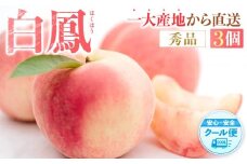 先行販売！［モモ］ 白鳳　桃の王様！食べきりやすい３個入り［2026年6月下旬頃より順次発送］［秀品］こだわり農家厳選 ［KG17］