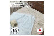 【2枚組】高級ジャガード織りタオルケット シングルサイズ（140×190cm）SNT-10T-2P