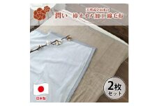 【2枚組】椿オイル加工 ふんわり綿毛布  シングルサイズ（140×200cm） CNM-101-2P
