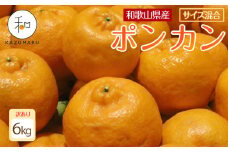 訳あり 森本農園の手選別 ポンカン 6kg 和歌山県産 サイズ混合 ［北海道・沖縄・離島配送不可］［RN14］［2026年1月上旬から順次発送］
